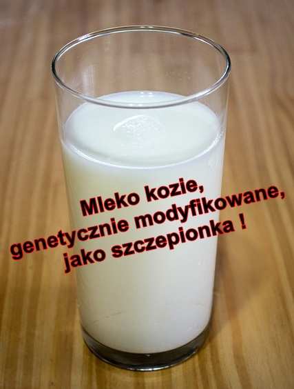 Kozie mleko w szklance