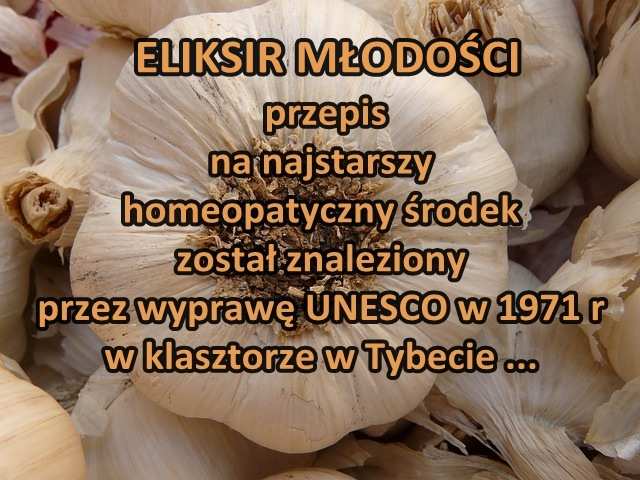 czosnek z napisem