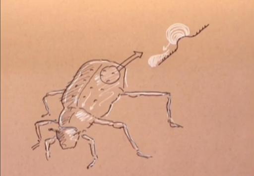 rysunek owada