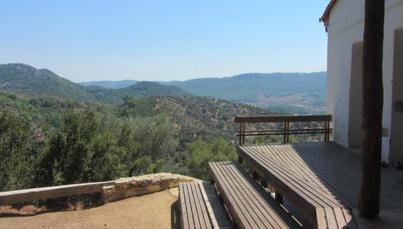 globalizacja czy tradycja