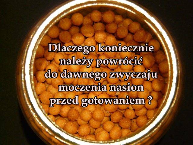 Moczenie ciecierzycy