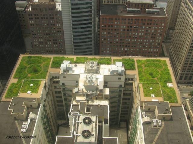 Dach porośniety trawą