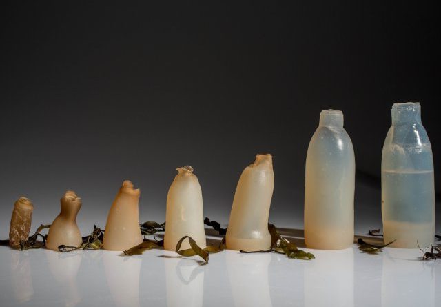 butelki biodegradowalne