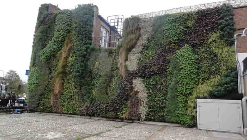 elewacje domów - z roślin