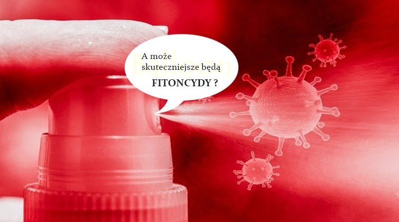 Fitoncydy i układ immunologiczny