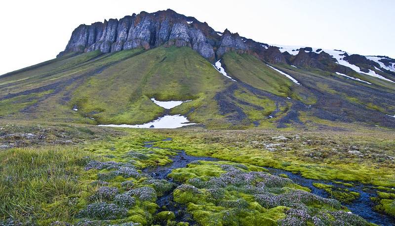 parki narodowe ruska arktyka ziemia franciszka jozefa