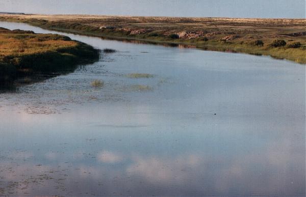 rzeka Iszim w Kazachstanie