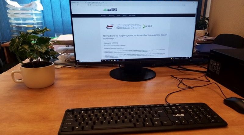 zakupiony komputer z monitorem