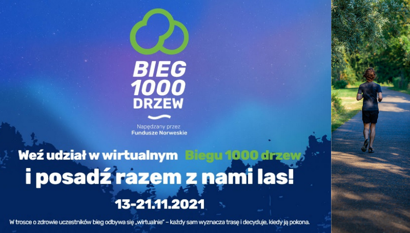 sadzenie lasu - bieg 1000 drzew