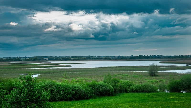 Gostynińsko-Włocławski Park Krajobrazowy