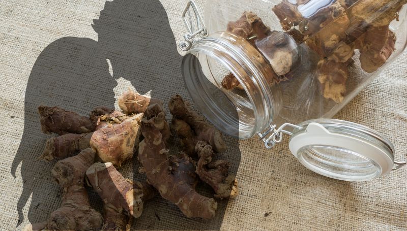 afrodyzjaki - galangal