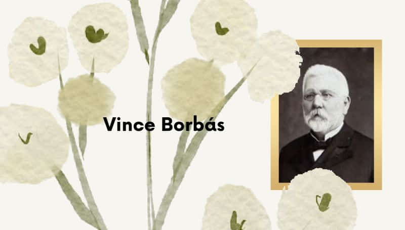 Taksonomia Vince Borbas