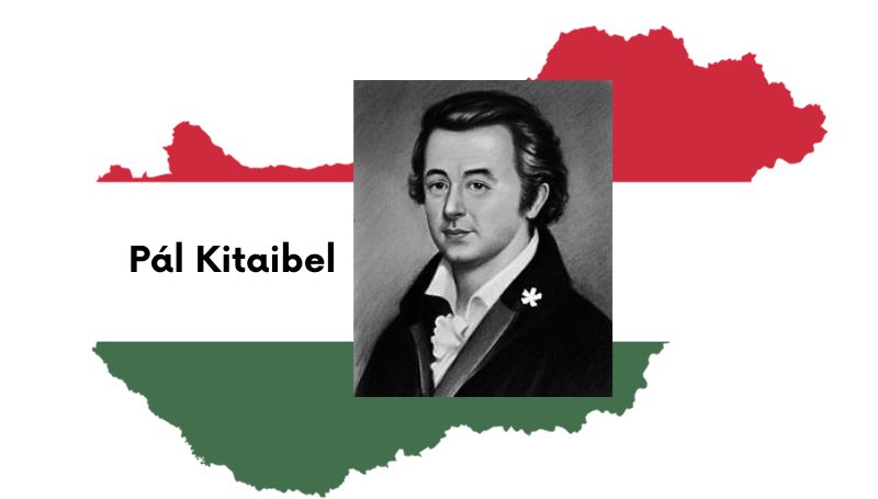 węgierski poszukiwacz