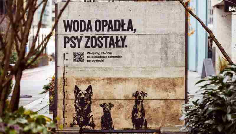 zbiórka charytatywna - dla schronisk po powodzi